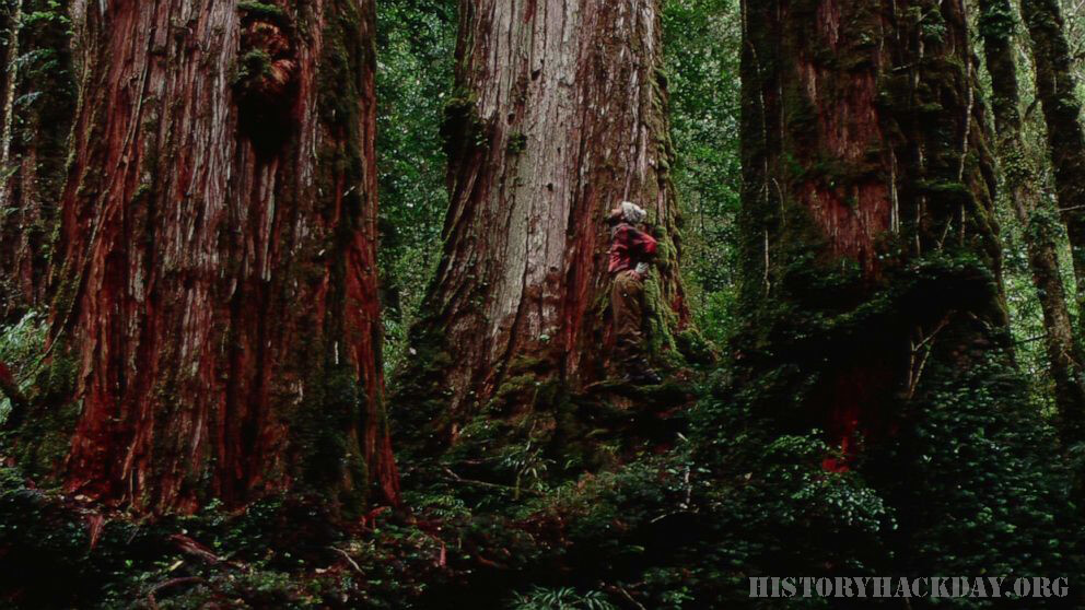 นักวิทยาศาสตร์พบต้นไม้ที่เก่าแก่ที่สุดในโลก นักวิทยาศาสตร์ในชิลีตอนใต้เชื่อว่าเขาพบต้นไม้ที่เก่าแก่ที่สุดในโลก คือต้นไซเปรสปาตาโกเนีย
