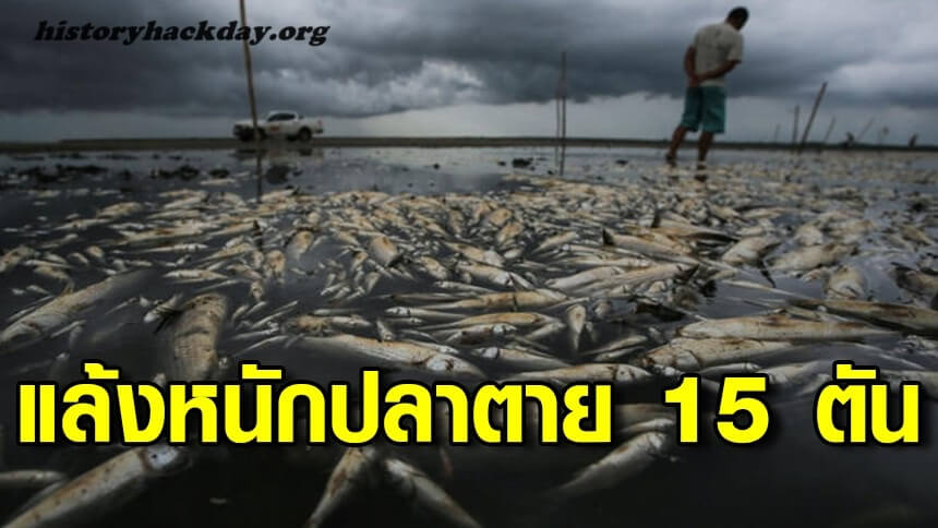 ปลาตายนับตันท่วมแม่น้ำสายใหญ่ในบราซิล ปลาหลายตันตายตามแม่น้ำสายหลักสายหนึ่งในรัฐเซาเปาโล ประเทศบราซิล หลังจากมีการทิ้งขยะอุตสาหกรรม